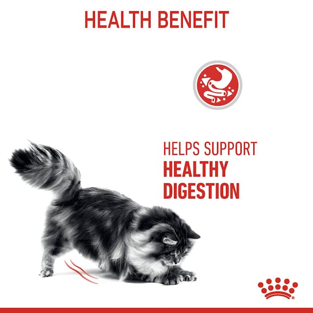 Royal Canin Fcn Feline Care Nutrition Digestive (2Kg) Cat Dry Food